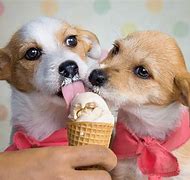 Image result for Dog Ice Cream Sunday Cone