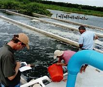 Image result for Raceway Fish Farming