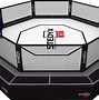 Image result for MMA Octagon