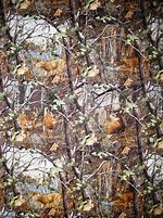 Image result for Realtree Camo Deer