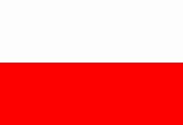 Image result for Serbia Poland Flag