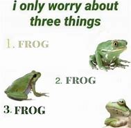 Image result for French Frog Meme