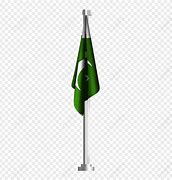 Image result for Pakistan Flag with Dimensions