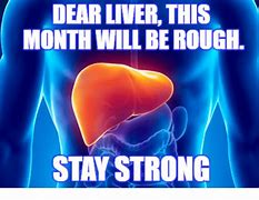 Image result for Dear Liver Meme