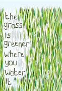 Image result for Grass Is Always Greener Sayings