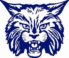 Image result for Wildcat SA Logo