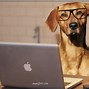 Image result for Puppy Work Memes