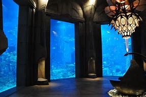 Image result for Aquarium in Hotel