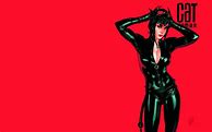 Image result for Catwoman Outline