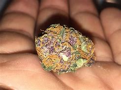 Image result for Fruity Pebbles Weed