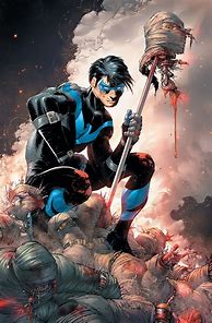 Image result for Female Nightwing Art