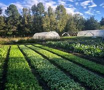 Image result for Sustainable Farm