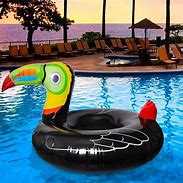 Image result for Unique Pool Floats