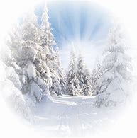 Image result for Winter Wallpaper Android