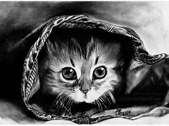 Image result for Pencil Cat 30-Day Art Challenge