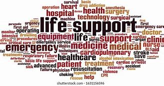 Image result for Life Support Word