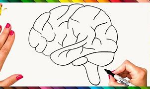 Image result for Brain Hand Drawing