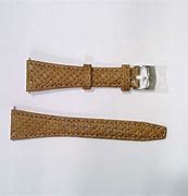 Image result for Tommy Bahama Watch Bands