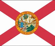 Image result for New Florida State Flag