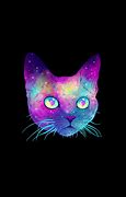 Image result for Galaxy Cat Meemeows