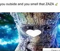 Image result for When You Go Outside and Smell That Zaza Meme Groot
