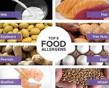 Image result for Big 8 Food Allergies