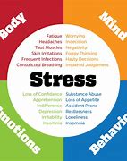 Image result for Recognizing and Coping with Stress