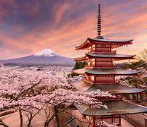 Image result for Best Things in Japan