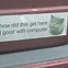 Image result for World Hunger Funny Bumper Stickers