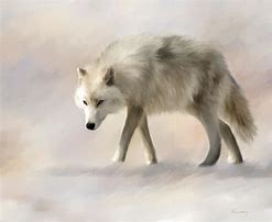 Image result for Arctic Wolf Art