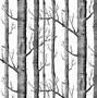 Image result for 1920X1080 White Wallpaper Black Tree