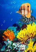 Image result for Tropical Fish Jpg