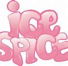 Image result for Ice Mirror Logo