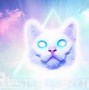Image result for Cat Cosmic Aesthetic