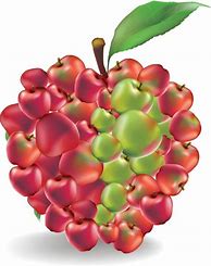 Image result for Apple Fruit Vector