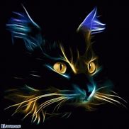 Image result for Animated Neon Cat