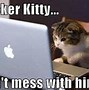 Image result for Cat Looking at Computer Screen Meme