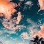 Image result for Summer Good Vibes Only Background