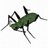 Image result for Free Reading Bug Clip Art