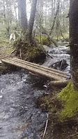 Image result for Creek Rope Jump