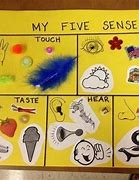 Image result for 5 Senses Cut and Paste