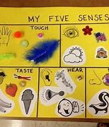 Image result for Sense of Touch Craft for Kids Labled Hands