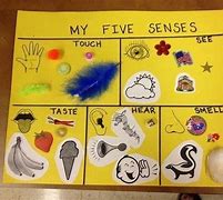 Image result for Senses Craft