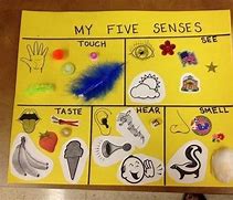Image result for 5 Senses Arts and Craft Preschool