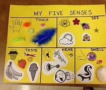 Image result for 5 Senses Arts and Crafts