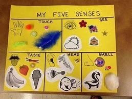Image result for 5 Senses Craft From Recycled Material