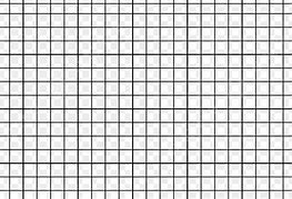 Image result for 1 Inch Square Black and White Grid