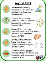 Image result for 5 Senses Theme Rhymes for Preschool