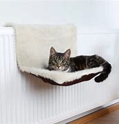 Image result for Cat Radiator Bed