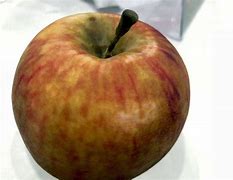 Image result for 3D Printed Apple